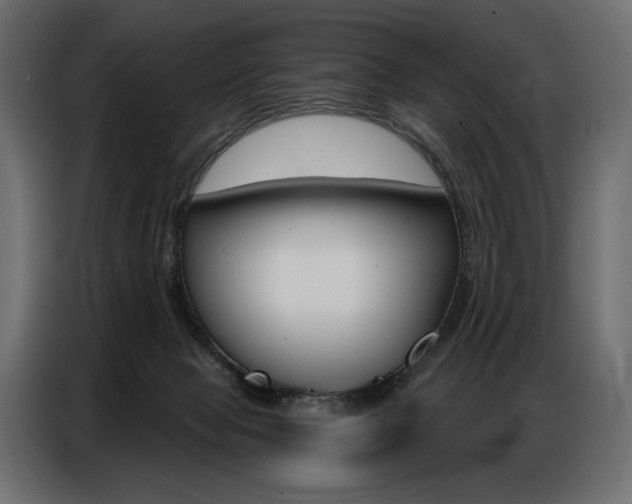 X0000086800077200704130910