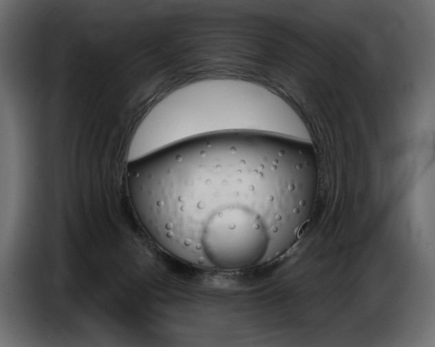 X0000086800078200704130910