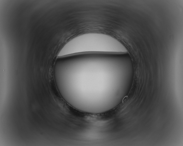 X0000086800079200704130910