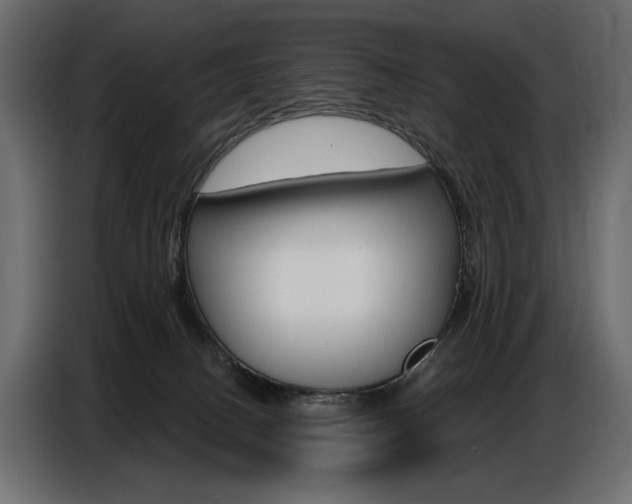 X0000086800082200704130910