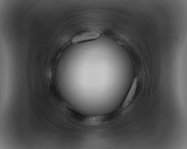 X0000086800084200704130910