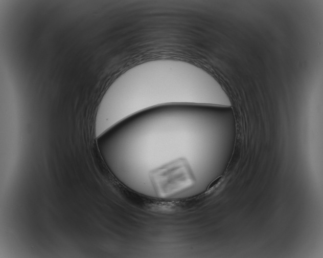 X0000086800086200704130910