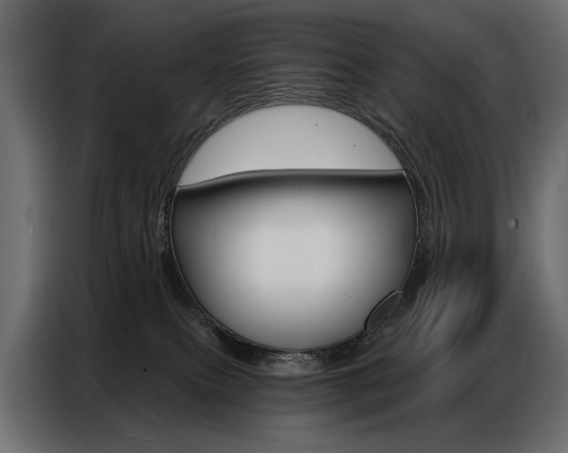X0000086800087200704130910