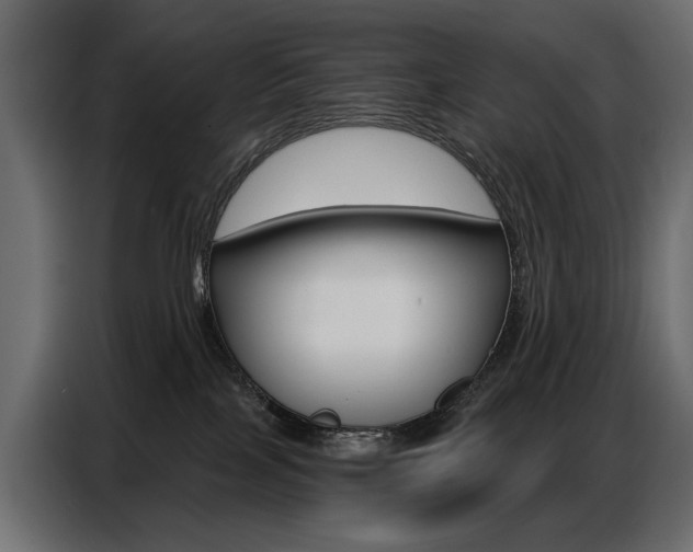 X0000086800089200704130910