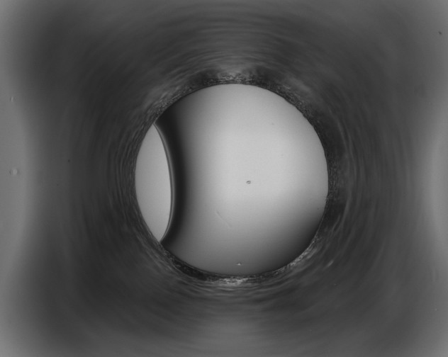 X0000086800090200704130910