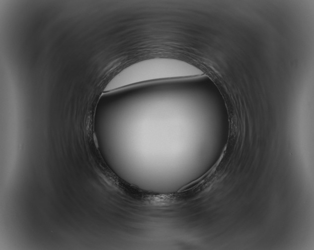 X0000086800092200704130910