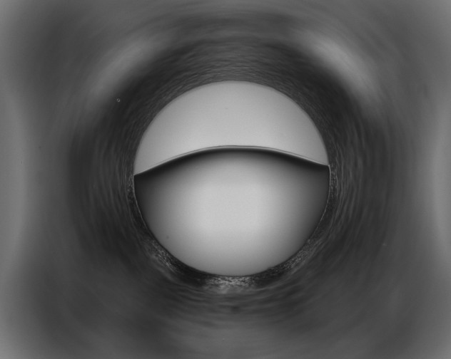 X0000086800093200704130910