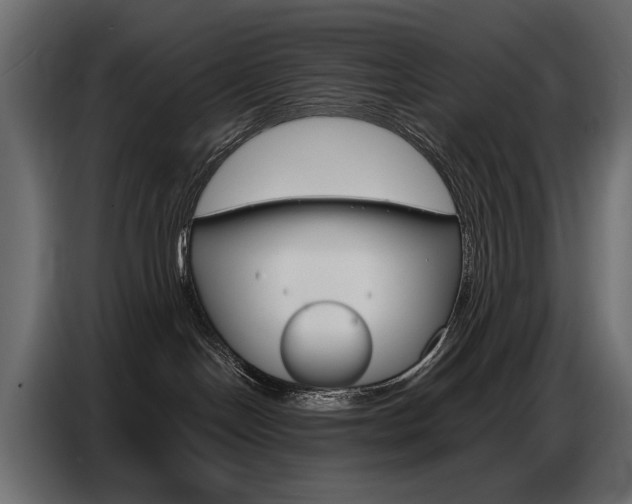 X0000086800094200704130910