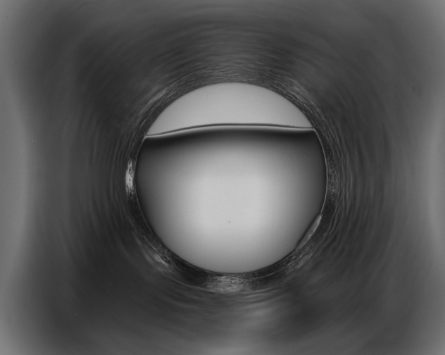 X0000086800095200704130910