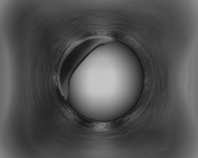 X0000086800096200704130910