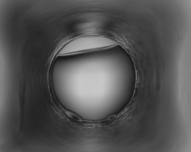 X0000086800099200704130909