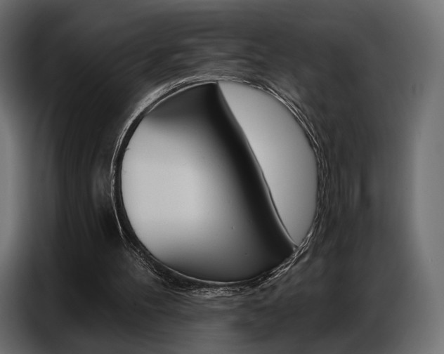 X0000086800100200704130909