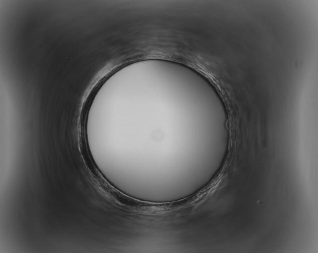 X0000086800102200704130909