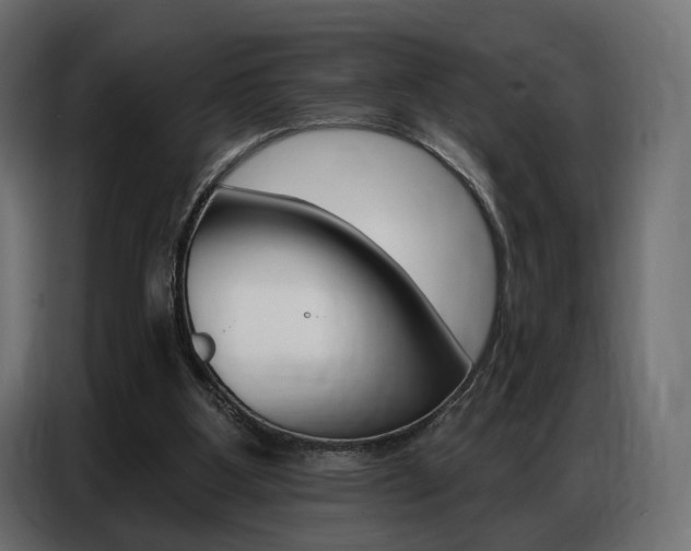 X0000086800107200704130909