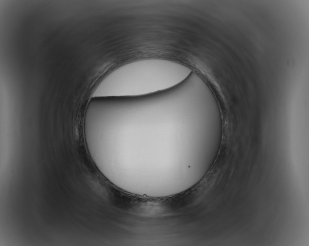X0000086800114200704130909
