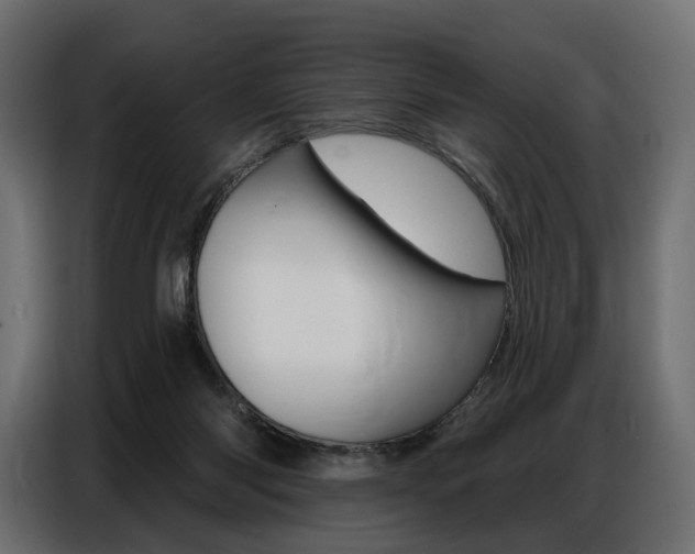X0000086800118200704130909