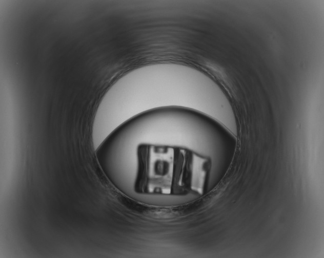 X0000086800121200704130909