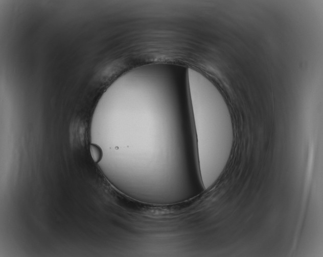 X0000086800123200704130909