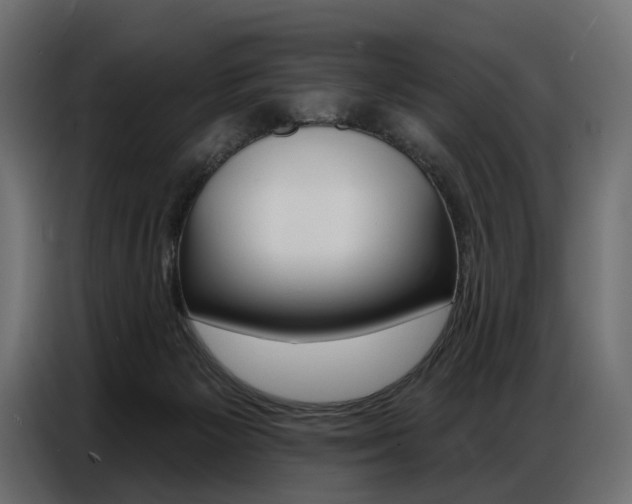 X0000086800125200704130909