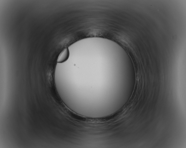 X0000086800127200704130909