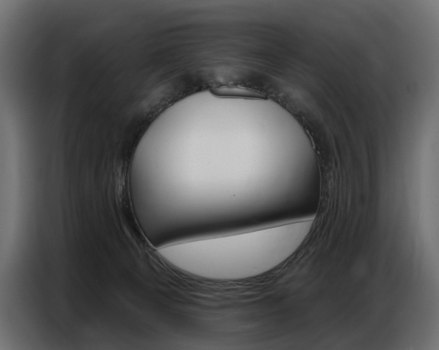 X0000086800129200704130909
