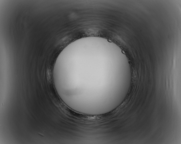 X0000086800130200704130909