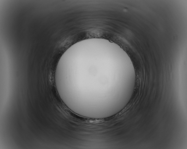 X0000086800134200704130909