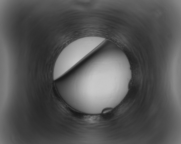 X0000086800135200704130909