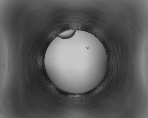 X0000086800139200704130909