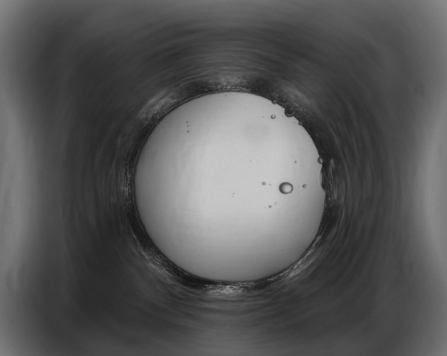X0000086800140200704130909