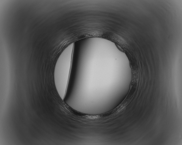 X0000086800143200704130908