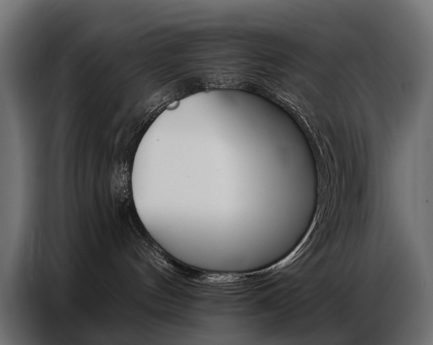 X0000086800144200704130908