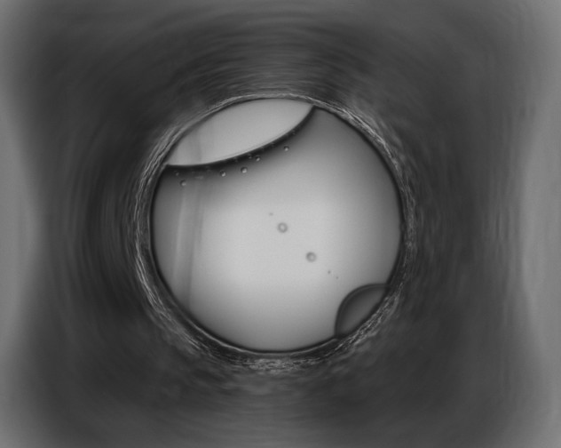 X0000086800145200704130908