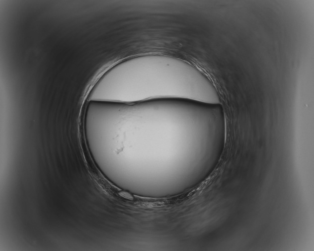 X0000086800147200704130908
