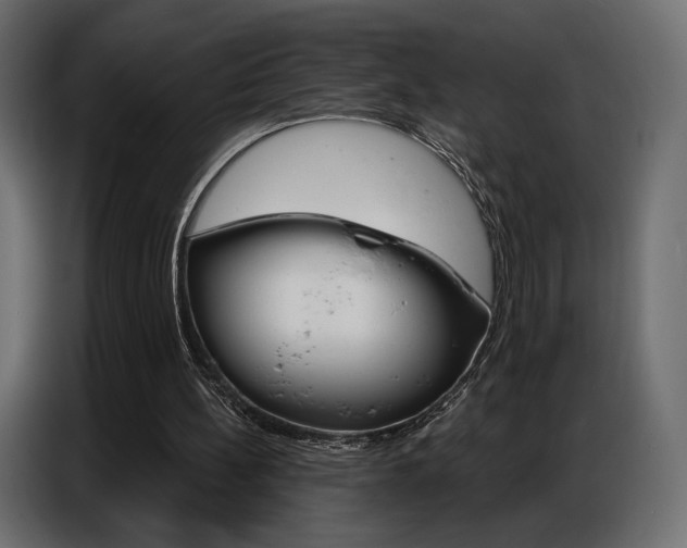 X0000086800148200704130908