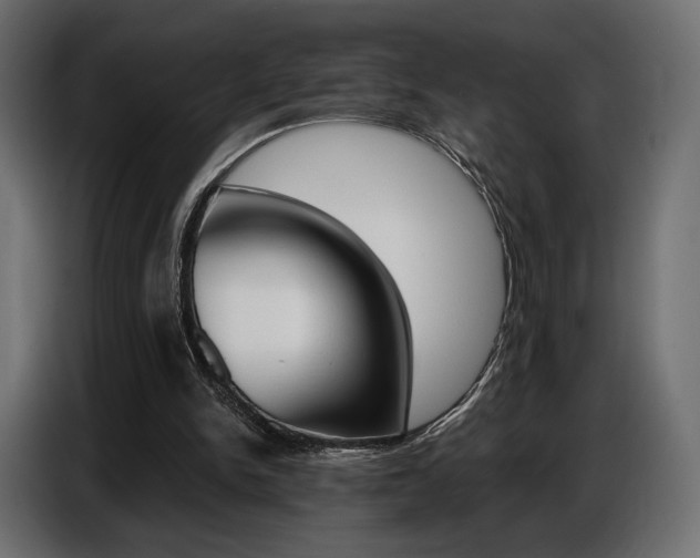 X0000086800150200704130908