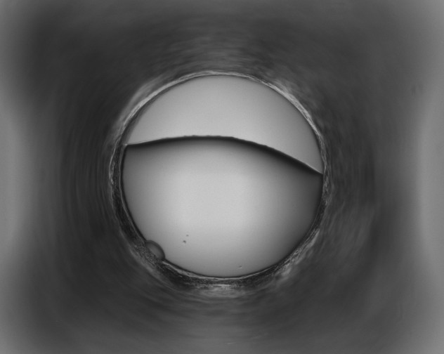 X0000086800151200704130908