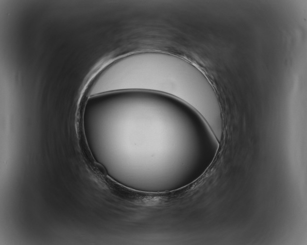 X0000086800152200704130908