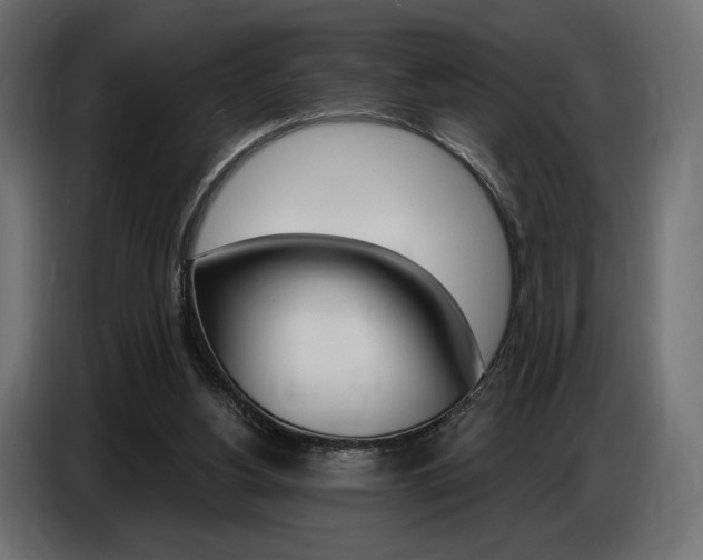X0000086800156200704130908