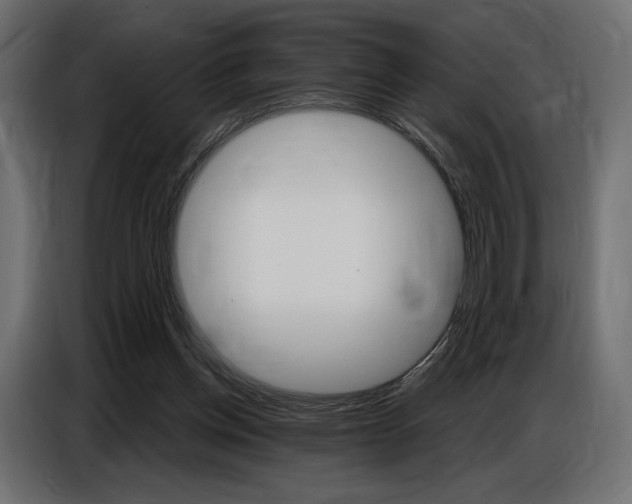 X0000086800158200704130908