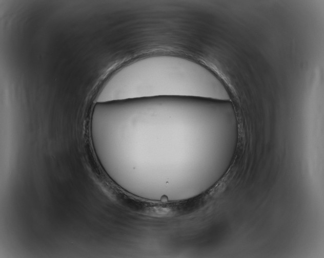 X0000086800159200704130908