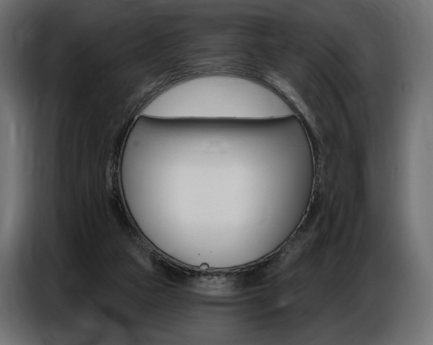 X0000086800161200704130908