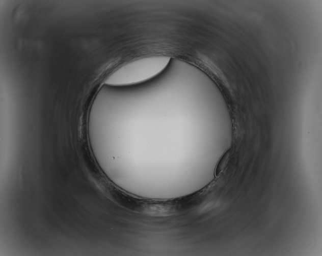X0000086800163200704130908