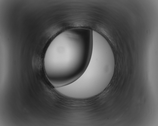 X0000086800164200704130908