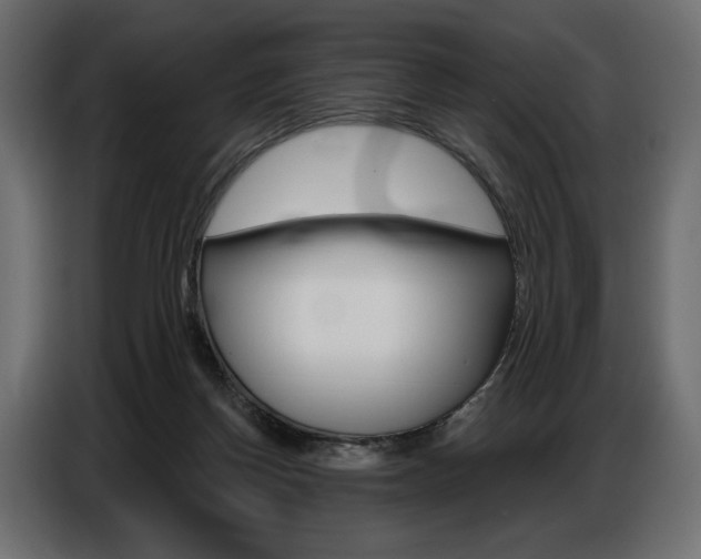 X0000086800166200704130908