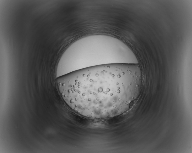 X0000086800175200704130908