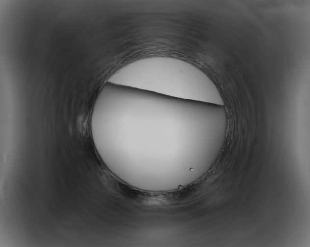 X0000086800177200704130908