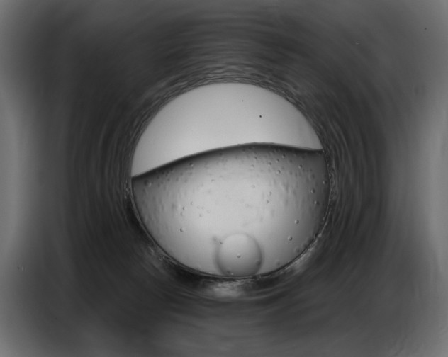 X0000086800178200704130908