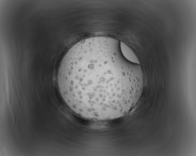 X0000086800179200704130908