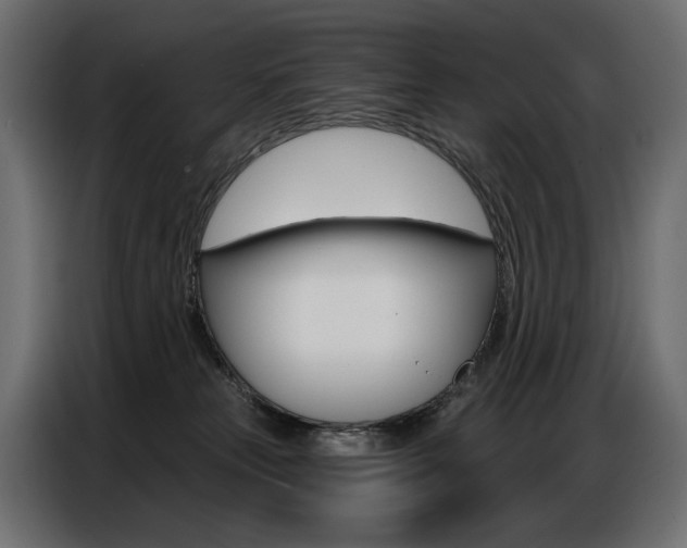 X0000086800181200704130908